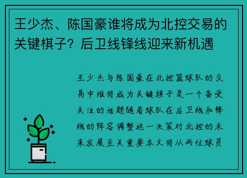 王少杰、陈国豪谁将成为北控交易的关键棋子？后卫线锋线迎来新机遇