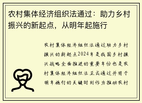 农村集体经济组织法通过：助力乡村振兴的新起点，从明年起施行