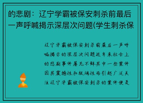 的悲剧：辽宁学霸被保安刺杀前最后一声呼喊揭示深层次问题(学生刺杀保安)