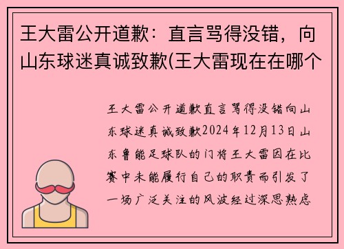 王大雷公开道歉：直言骂得没错，向山东球迷真诚致歉(王大雷现在在哪个球队)